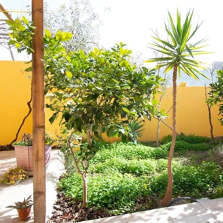אוריסטאנו Yellow House-Villetta Con Giardino מראה חיצוני תמונה